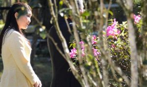 princesa do japão
